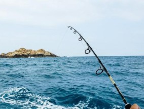 冬天海滩钓鱼有哪些方法和技巧？如何提高钓鱼成功率？