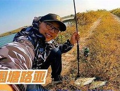 船钓海鲈鱼技巧（掌握技巧，海鲈鱼不再难钓）