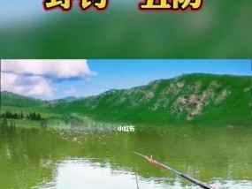 白天钓鱼的技巧与注意事项（钓鱼时间、装备选择、技巧讲解）