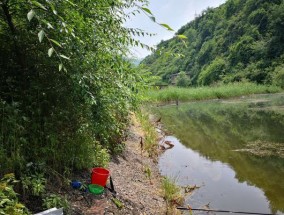 深圳野外钓鱼技巧教程（掌握深圳钓鱼技巧）