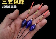 冬天钓鱼看漂技巧教程？如何在寒冷季节提高钓鱼成功率？