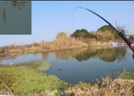 冬天钓鱼技巧野钓鲫鱼如何调漂？调漂的正确方法是什么？