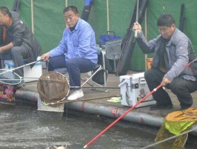 钓鱼撒饵技巧教学（提升钓鱼成功率的关键技巧）