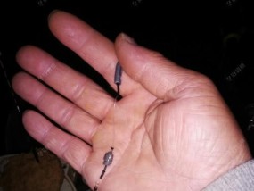 如何正确调整浮漂？钓鱼带钩技巧有哪些常见问题？