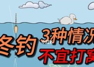 冬天野钓如何一小时钓到200条鱼？有哪些高效技巧？