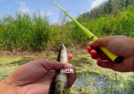 小河钓鱼技巧大揭秘（掌握关键技巧）