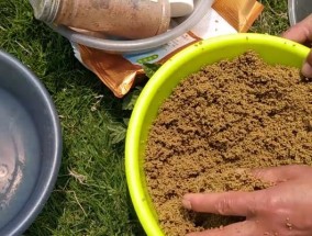 黑坑抛竿钓鲫鱼的技巧（掌握正确的姿势和投放技巧）