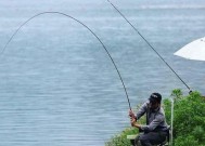 寒冷天气野钓方法和技巧是什么？如何应对冬季钓鱼的挑战？