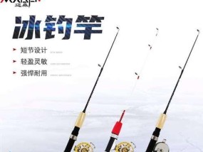 保养渔具与钓鱼技巧同样重要？如何平衡两者以提升钓鱼体验？