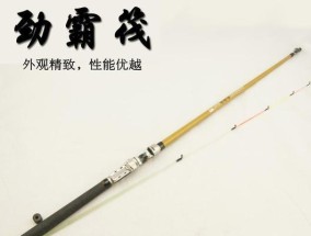 海竿钓竿抛竿技巧详解（掌握竿法技巧）