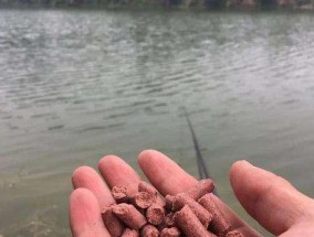 冬季钓大板鲫的技巧（冬日寒冷）