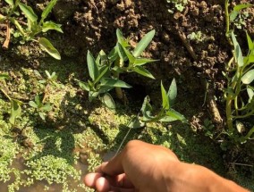 钓鱼找水沟的技巧（轻松掌握的钓鱼技巧）