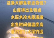 海水淡水交界钓鱼技巧有哪些？如何提高钓获率？