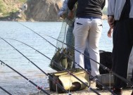 冬季使用海竿垂钓鲢鳙有哪些技巧？如何提高冬季垂钓鲢鳙的成功率？