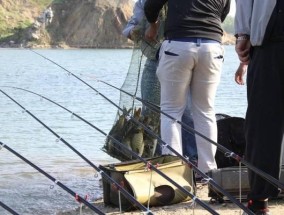 冬季使用海竿垂钓鲢鳙有哪些技巧？如何提高冬季垂钓鲢鳙的成功率？