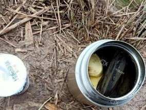冬天在莲藕塘钓鱼有哪些技巧？如何提高钓获率？