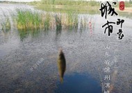 冬天野钓最佳选位技巧是什么？如何根据天气选择钓鱼位置？