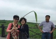 海岛钓鱼钓龙虾技巧（揭秘钓龙虾的技巧）