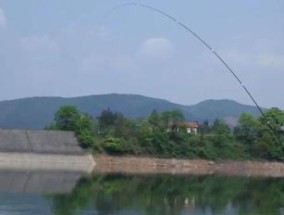 龙源湖钓鱼技巧（掌握龙源湖钓鱼技巧的秘诀）