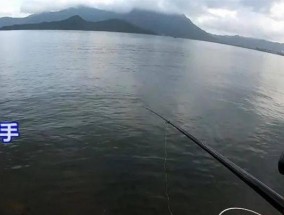 海钓技巧之急流浮漂钓鱼实用技巧（掌握海钓急流浮漂技巧）