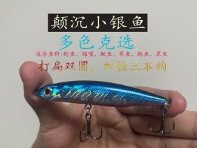 小银鱼钓鱼技巧大揭秘（绝佳方法帮你轻松捕获丰富的渔获）
