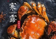 北方寒露之后如何垂钓花鲢？垂钓花鲢有哪些技巧？