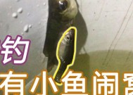 如何有效防止小鱼闹窝？掌握这些钓鱼技巧！