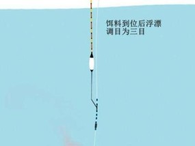 半漂钓鱼技巧教程？如何提高钓鱼成功率？
