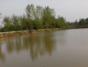 钓鱼技巧（小鱼塘钓鱼的选位技巧与关键）