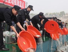 长江枝江段钓鱼技巧（探秘长江枝江段最佳钓鱼技巧）