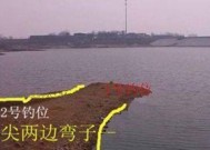 合肥周边水库钓鱼技巧有哪些？如何提高钓鱼成功率？
