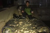 河边钓鱼技巧有哪些？最佳饵料选择是什么？