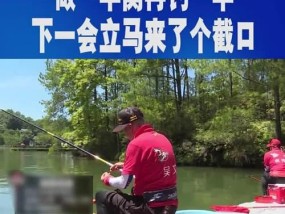 如何掌握钓鱼截口的技巧？常见问题有哪些？