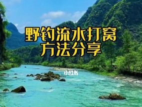 海水涨潮流水钓鱼技巧有哪些？如何应对潮汐变化提高钓鱼成功率？
