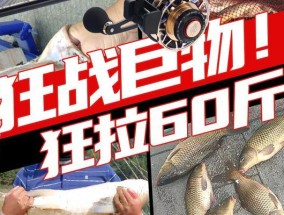 多维度钓鱼技巧（多维度钓鱼技巧）