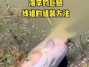 海竿沙滩钓鱼技巧有哪些？如何提高钓鱼成功率？