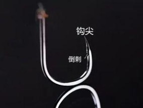 钓鱼技巧大揭秘（鱼钩选择与使用）
