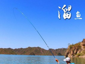 利用9米长竿钓鱼的技巧（掌握钓鱼技巧，轻松捕获丰富鱼类资源）