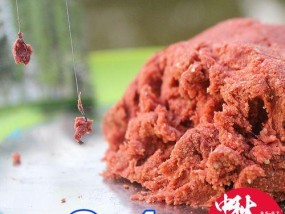 钓鱼匠钓鱼技巧饵料窝料鱼怎么选？常见问题有哪些？