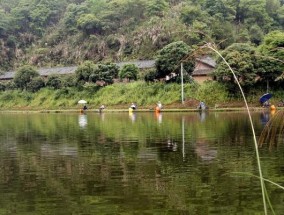 探秘野外水塘的钓鱼技巧（提高成功率的关键是掌握正确的方法）