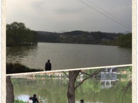 钓鱼打水漂技巧大揭秘（掌握技巧让你在野外钓鱼更加得心应手）