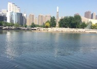 冬天海河钓鱼技巧有哪些？如何应对低温天气？