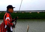 洞庭湖钓鱼技巧有哪些？如何提高钓鱼成功率？