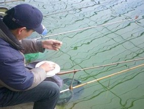 北京大棚钓鱼规律和技巧是什么？如何掌握钓鱼技巧？