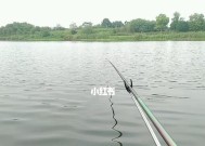 最佳钓鱼地点在哪里？掌握这些技巧让你满载而归？