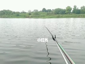 最佳钓鱼地点在哪里？掌握这些技巧让你满载而归？