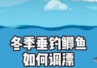 冬季雨天钓鱼调漂技巧是什么？如何应对雨天钓鱼的挑战？