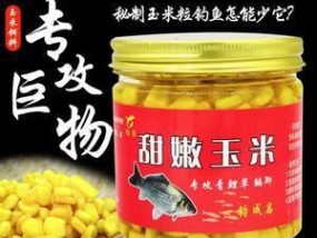 如何使用嫩玉米进行钓鱼打窝？嫩玉米打窝有哪些常见问题？