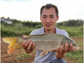 钓鱼技巧（鱼儿爱吃钩，你需要掌握这些技巧）
