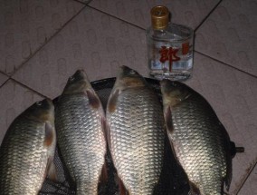 湍急流水小河钓鱼技巧（鱼儿翩翩入梦境）